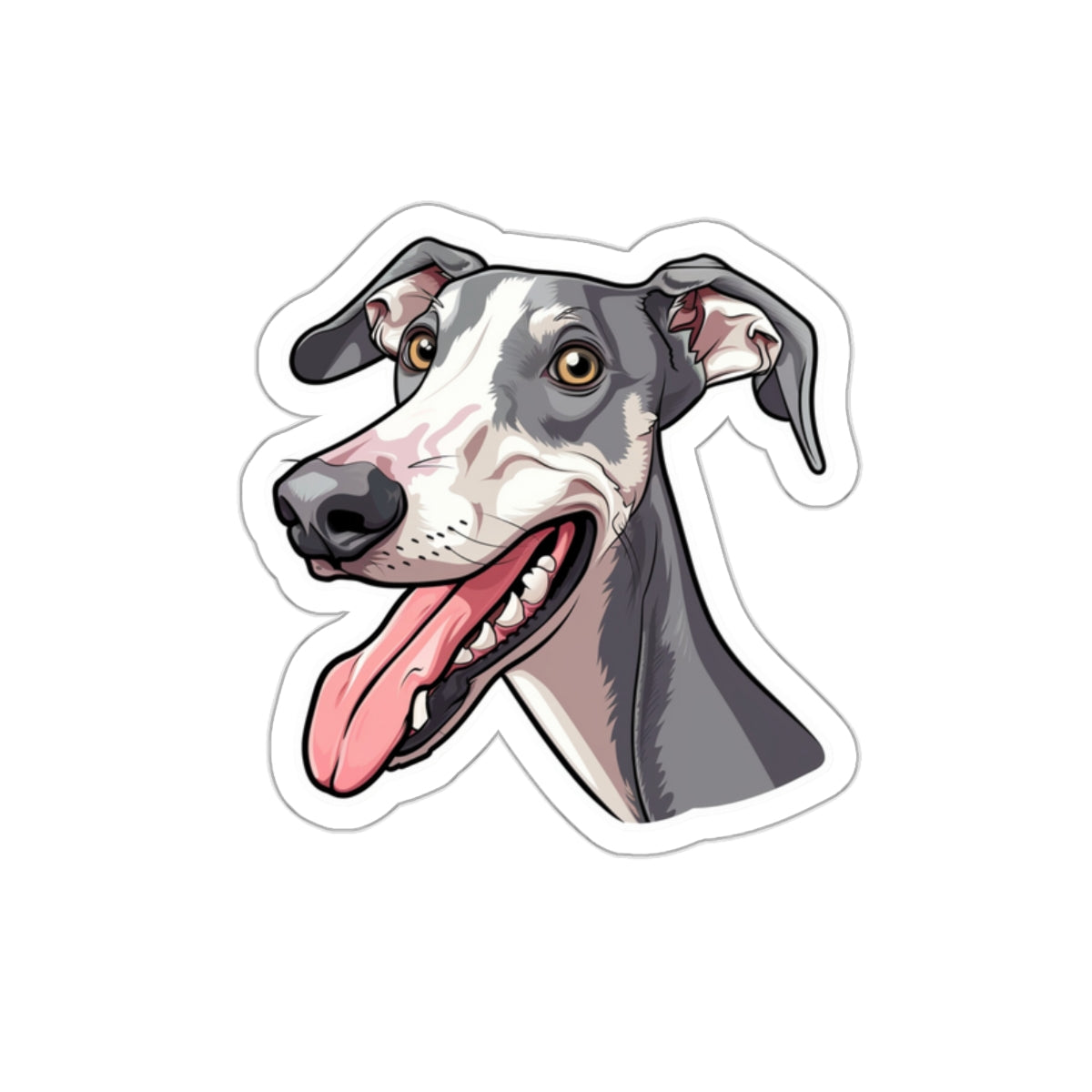 Whippet