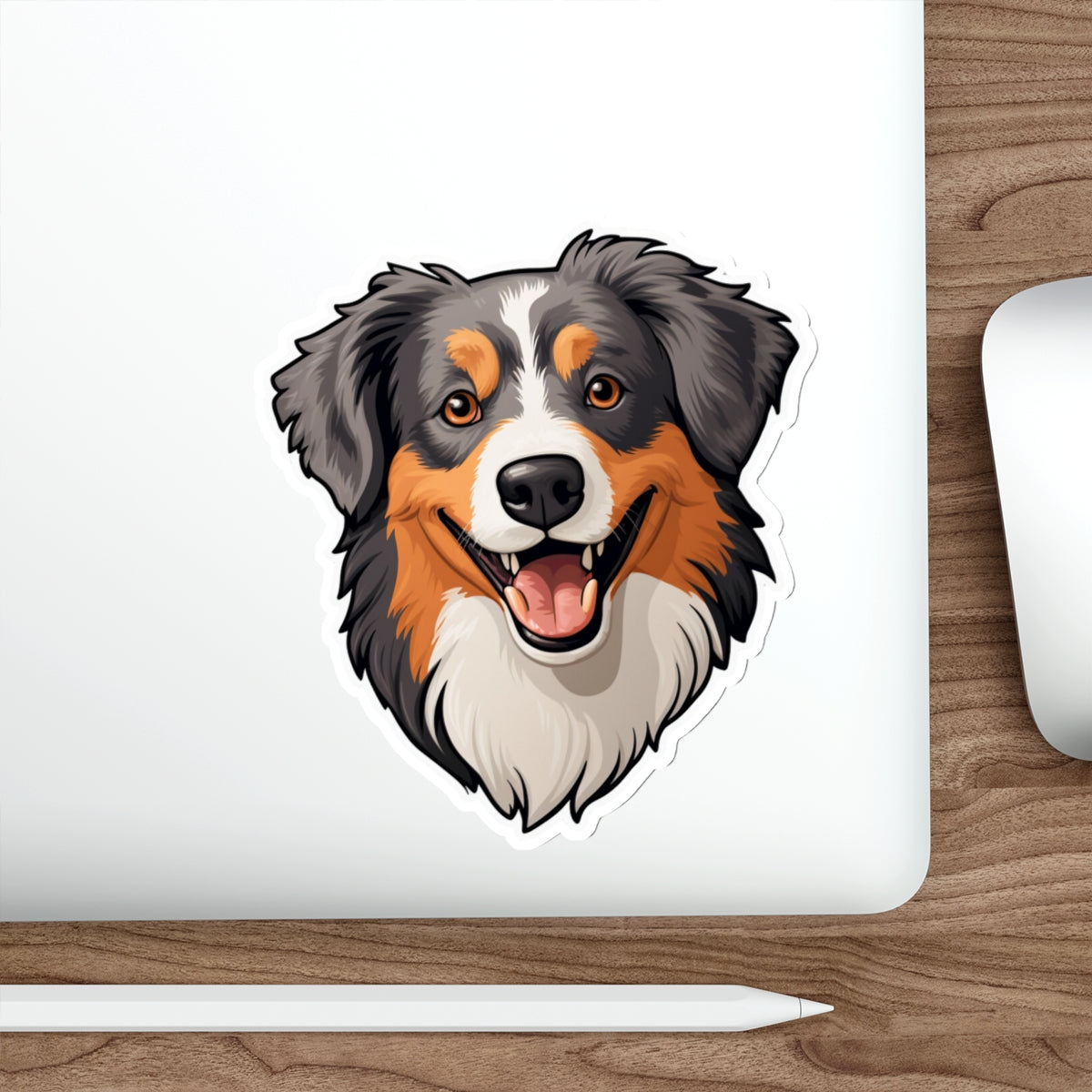 Australian Shepherd