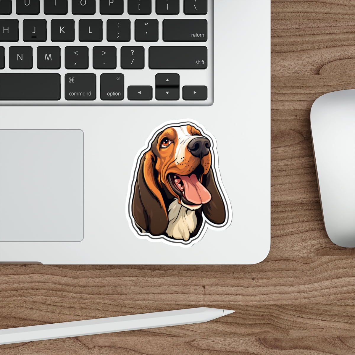 Basset Hound