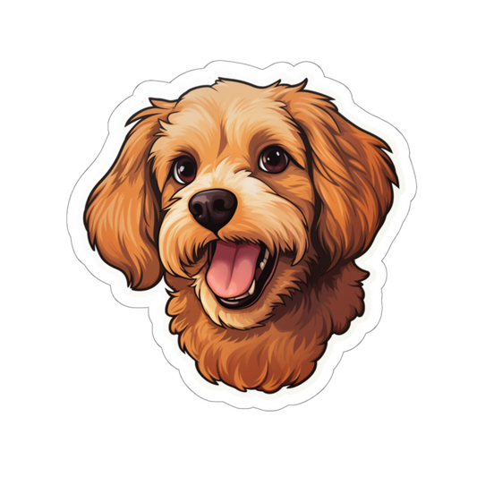 Cavoodle