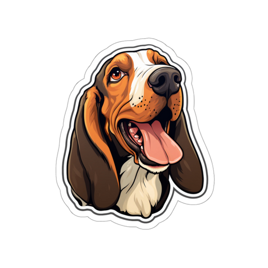 Basset Hound