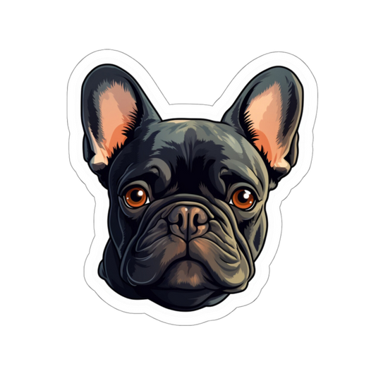 Black French Bulldog